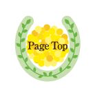 Page Top