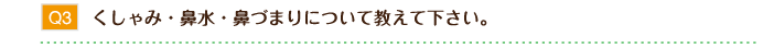 くしゃみ・鼻水・鼻づまりについて教えて下さい。